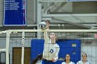 VB vs Plymouth St  Wheaton Women’s Volleyball vs Plymouth St. - Photo by Keith Nordstrom